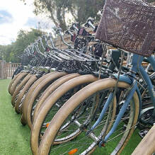 Location de vélo / VTT au Camping Palmyre Loisirs à Les Mathes Tohapi