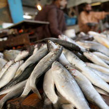Poissonnerie au Camping Lanterna Premium Resort à Porec Tohapi
