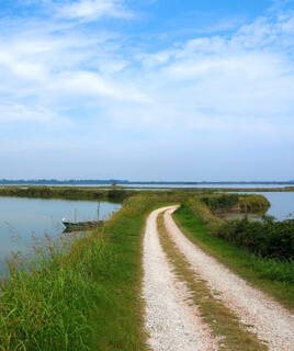 Parc Naturel du Delta del Po