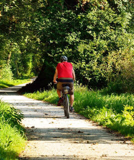 Une personne à vélo sur une piste cyclable ombragée, bordée d'arbres et de végétation luxuriante, typique des sentiers de Soulac-sur-Mer.