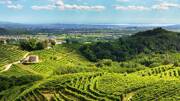 Collines del Prosecco