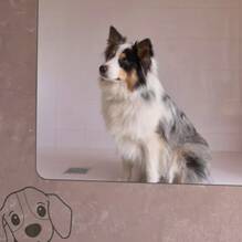 Douche pour chiens au Camping Marina Julia à Marina Julia Tohapi