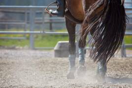 Equitation à proximité du Camping Palmyre Loisirs à Les Mathes Tohapi