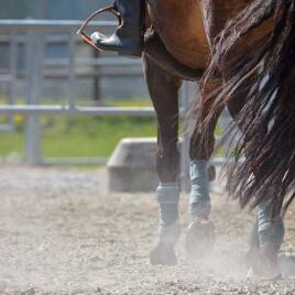 Equitation à proximité du Camping Fontaine Vieille à Andernos-les-Bains Tohapi