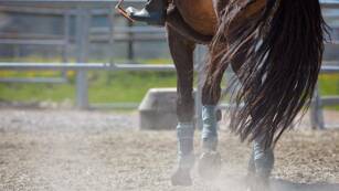 Equitation Camping Domaine d'Anghione Castellare-di-Casinca Tohapi