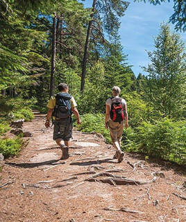 camping-ardennes-randonnee-inspi-th