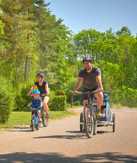 camping-bas-rhin-cyclotourisme-inspi-th