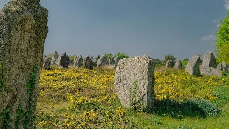 alignements-de-carnac