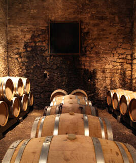 camping-centre-val-de-loire-vin-inspi-th