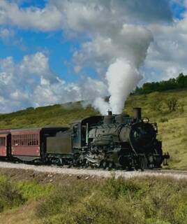 camping-charente-maritime-train-mouette-inspi-th