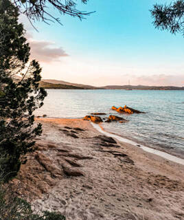 camping-corse-du-sud-plage-inspi-th