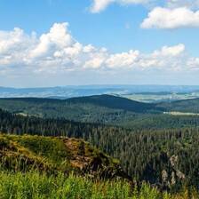 Camping Forêt Noire