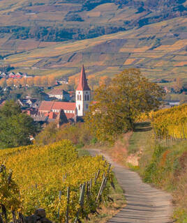 route-des-vins-alsace