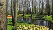 keukenhof