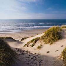 Camping Hollande-Méridionale