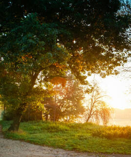 nature-indre-et-loire