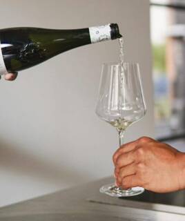 degustation-vin-blanc