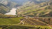 camping-nord-portugal-vallee-douro-poi-th