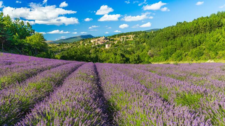 provence-alpes-cote-dazur