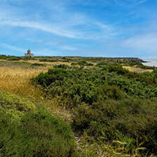 Camping Pilar de la Horadada