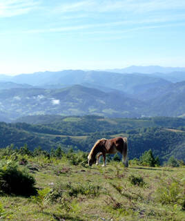 camping-pyrenee-atlantique-montagne-inspi-th