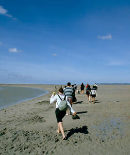 Camping-Mont-Saint-Michel-Randonnee-Inspiration-TH