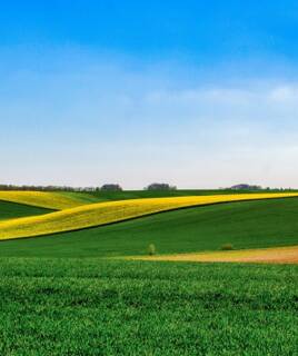 camping-seine-et-marne-campagne-inspi-th