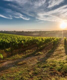 camping-seine-et-marne-aisne-inspi-th