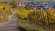 route-des-vins