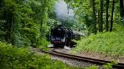 camping-bord-de-riviere-ardeche-ardeche-verte-train-poi-th
