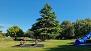 Camping-Boulogne-sur-Mer-Parc-Falaise-Jeu-Generique-POI-TH