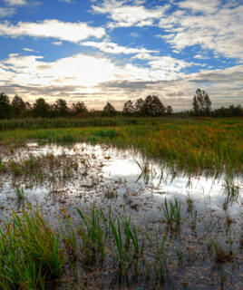 parc-naturel-des-marais-du-cotentin-et-du-bessin