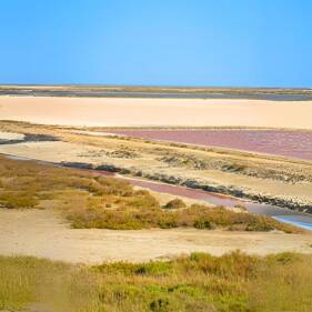 Camping En bord de mer Camargue