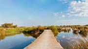 camping-camargue-parc-naturel-poi-th