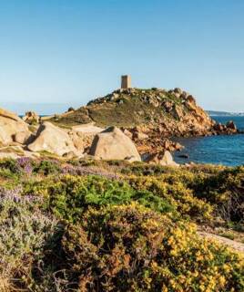 camping-carantec-ile-callot-ia-inspi-th