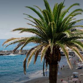 Camping En bord de mer Costa Dorada