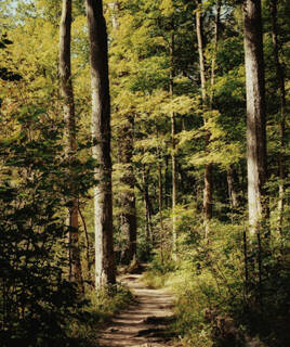 camping-cote-d-opale-nature-inspi-th