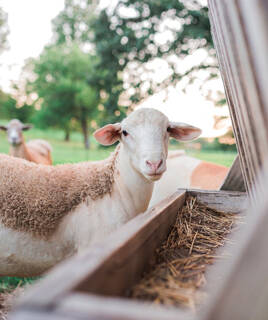 ecomusee-marqueze-th