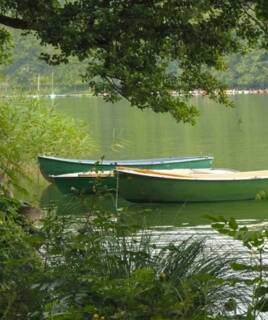 camping-marais-poitevin-bateau-inspi-th