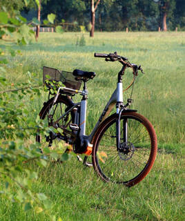 camping-marais-poitevin-velo-inspi-th