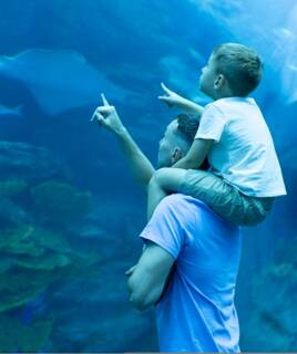 camping-port-vendres-activite-famille-aquarium-inspi-th