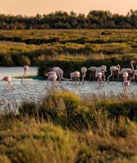 camping-sud-france-paysage-inspi-th