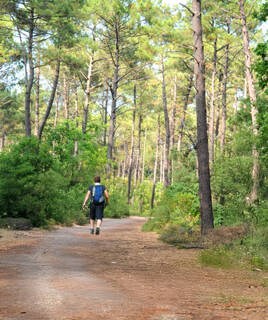 randonnee-landes