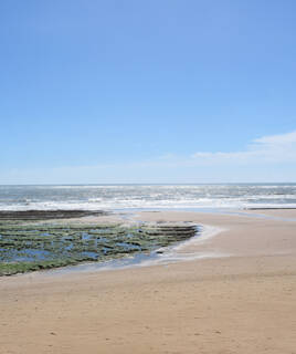 camping-4-etoiles-vendee-littoral-inspi-th