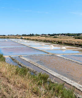 camping-4-etoiles-vendee-visite-inspi-th