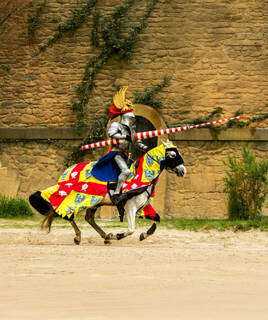 camping-4-etoiles-vendee-puy-du-fou-inspi-th