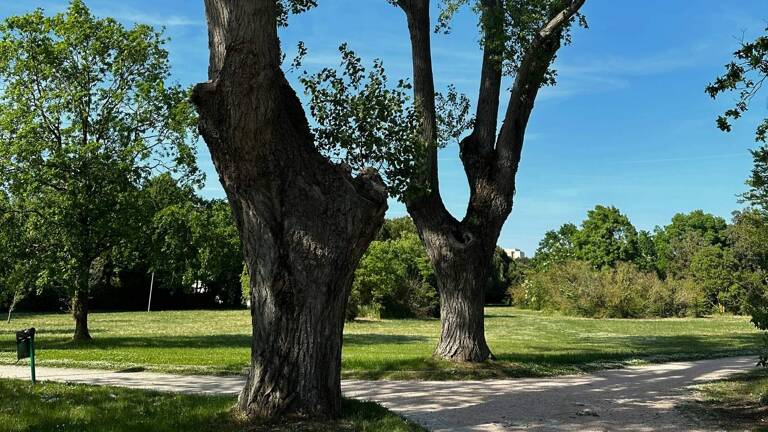 centre-cesenatico-parc