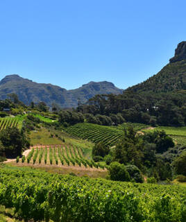 route-des-vins-drome