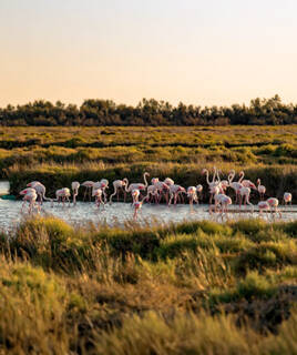 camping-herault-bord-de-mer-balade-inspi-th