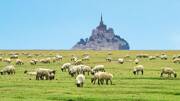 mont-saint-michel